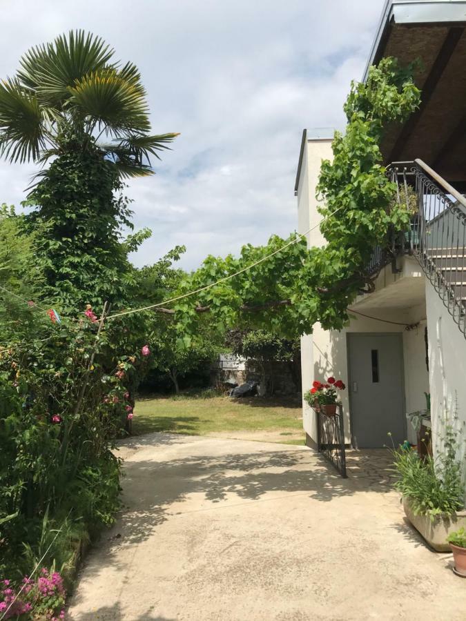 Apartment Jonas Rovinj Ngoại thất bức ảnh